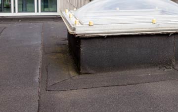 disadvantages of Cotmarsh flat roofs