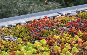the cost of Cotmarsh green roof installation
