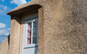 Cotmarsh thatch roof disadvantages