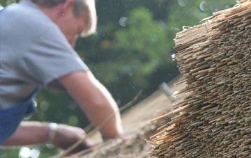 professional Cotmarsh thatchers