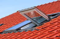 Cotmarsh roof window